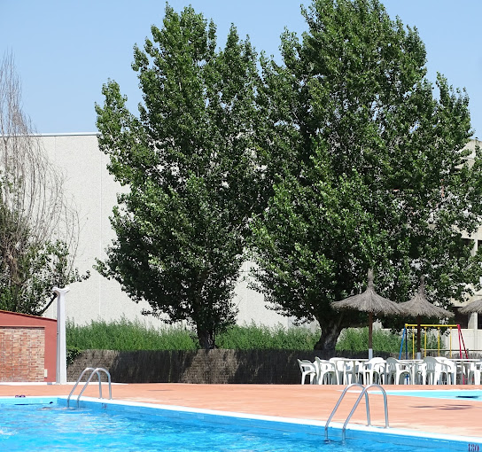 piscina-image